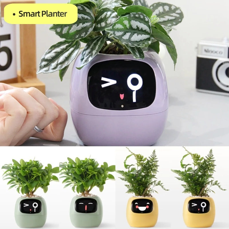 IVY - Smart Planter Pot