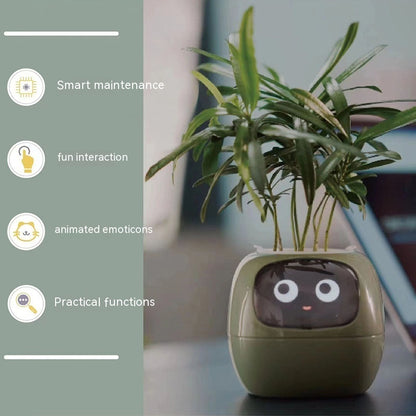 IVY - Smart Planter Pot