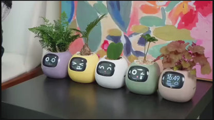 IVY - Smart Planter Pot